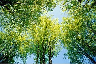 永劫无间合作平遥古兵器博物馆，非遗传承人还原霸气狼主刀